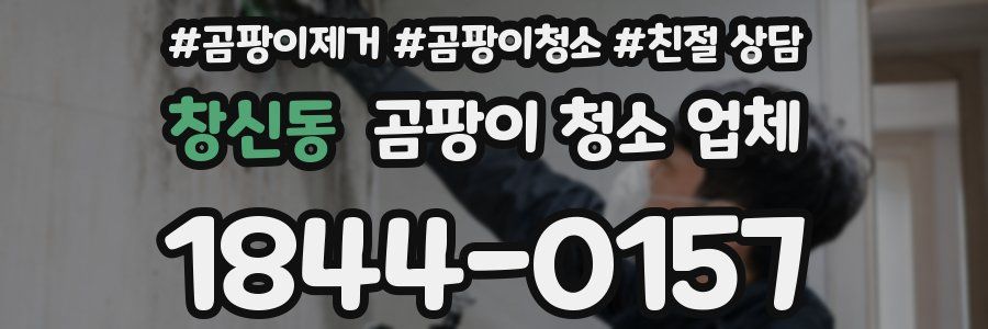 창신동 곰팡이 청소 업체