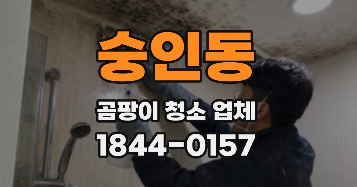 숭인동 곰팡이 청소 업체