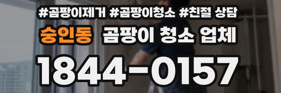 숭인동 곰팡이 청소 업체