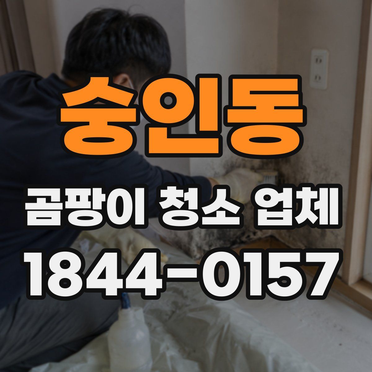 숭인동 곰팡이 청소 업체