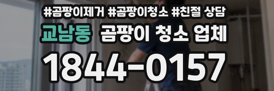 교남동 곰팡이 청소 업체