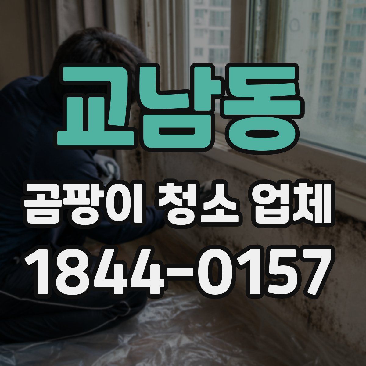 교남동 곰팡이 청소 업체