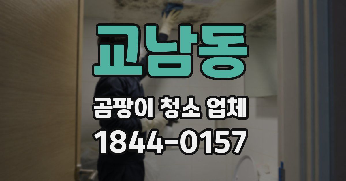 교남동 곰팡이 청소 업체