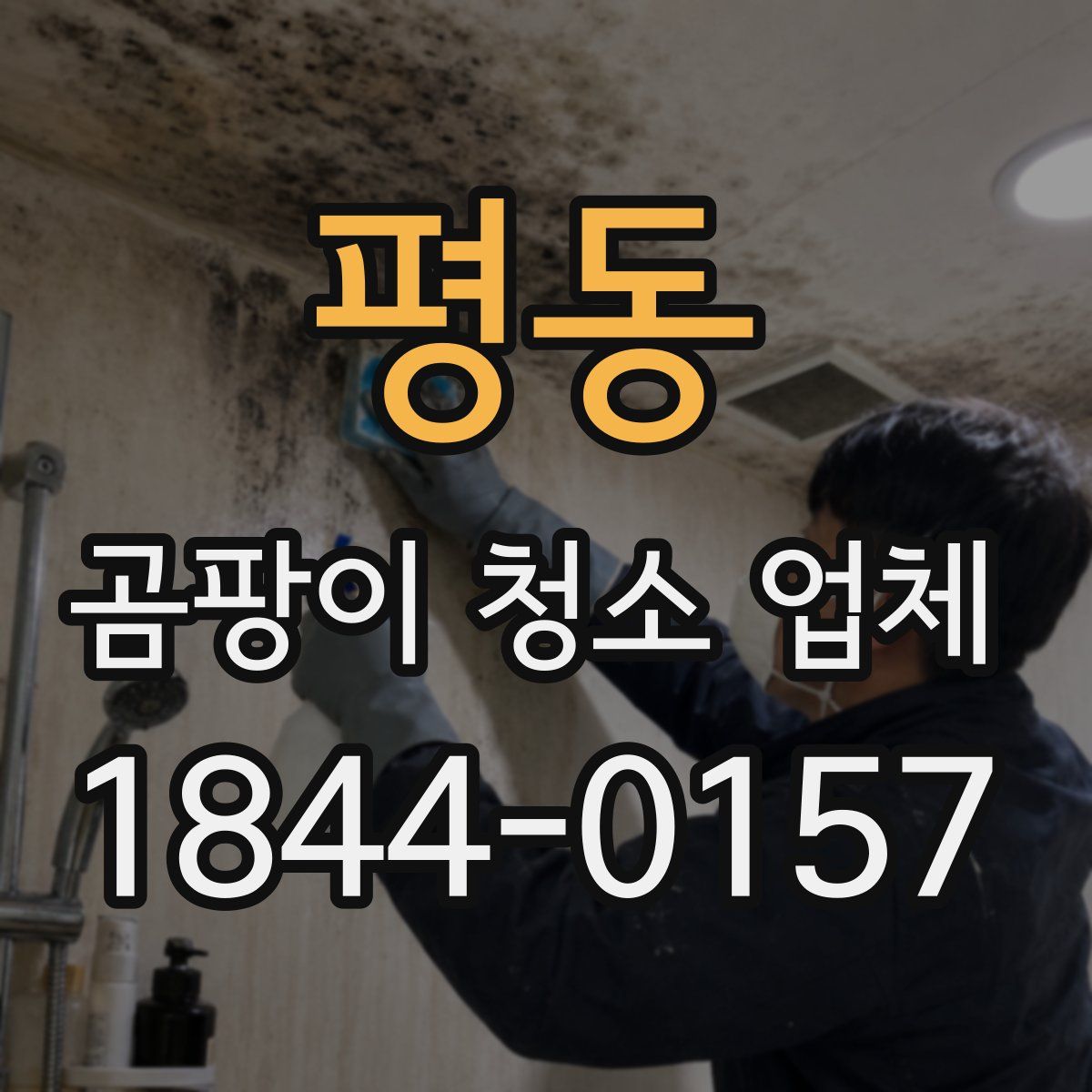 평동 곰팡이 청소 업체