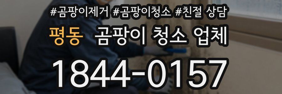 평동 곰팡이 청소 업체