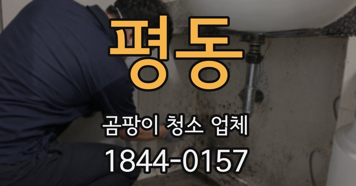 평동 곰팡이 청소 업체