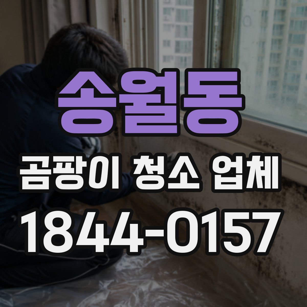 송월동 곰팡이 청소 업체