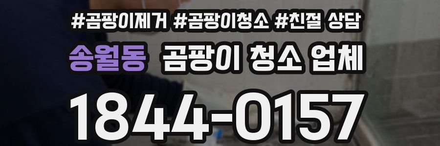 송월동 곰팡이 청소 업체