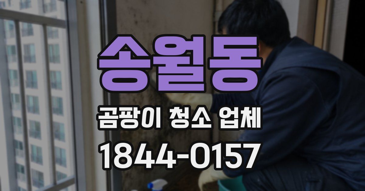 송월동 곰팡이 청소 업체