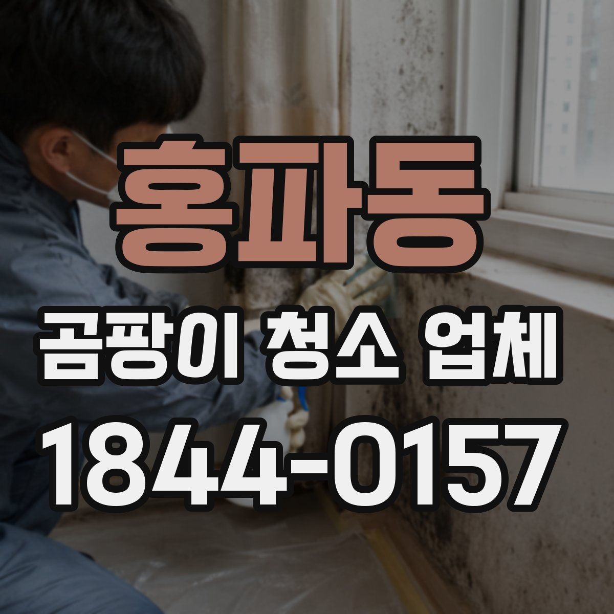 홍파동 곰팡이 청소 업체 예약할 때 확인할 일정 정보