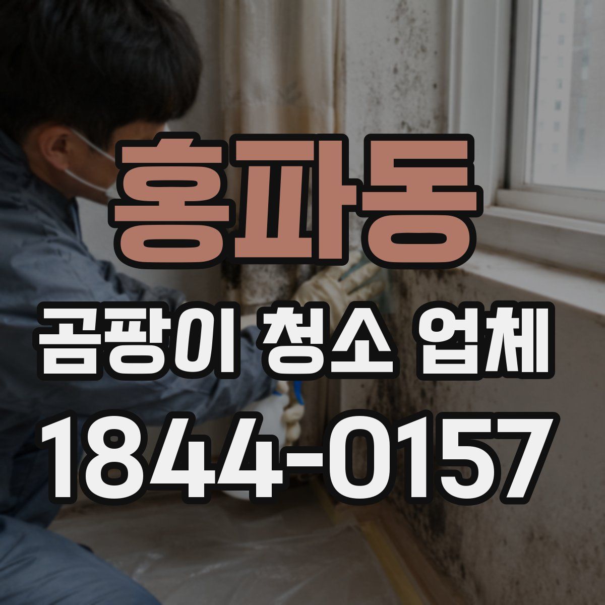 홍파동 곰팡이 청소 업체