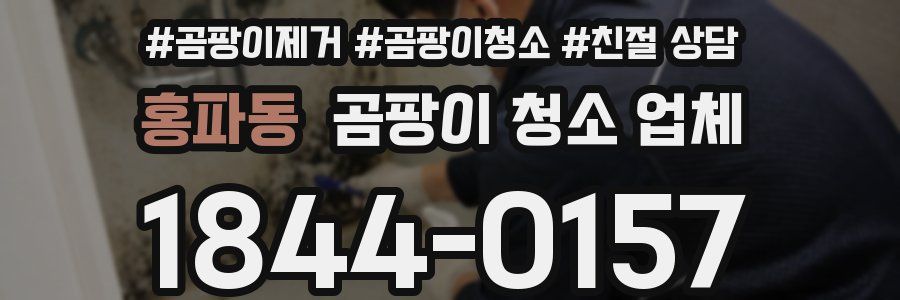 홍파동 곰팡이 청소 업체