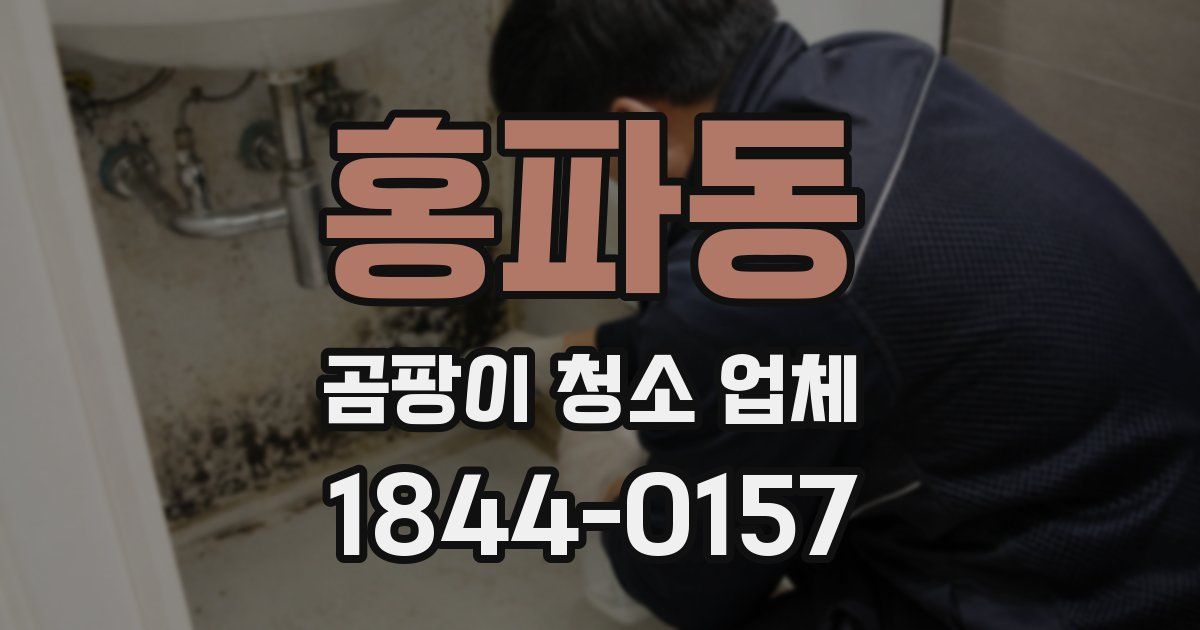 홍파동 곰팡이 청소 업체