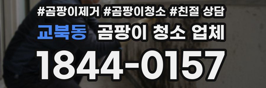 교북동 곰팡이 청소 업체