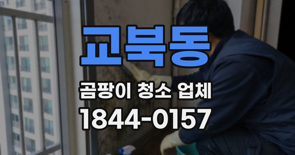 교북동 곰팡이 청소 업체