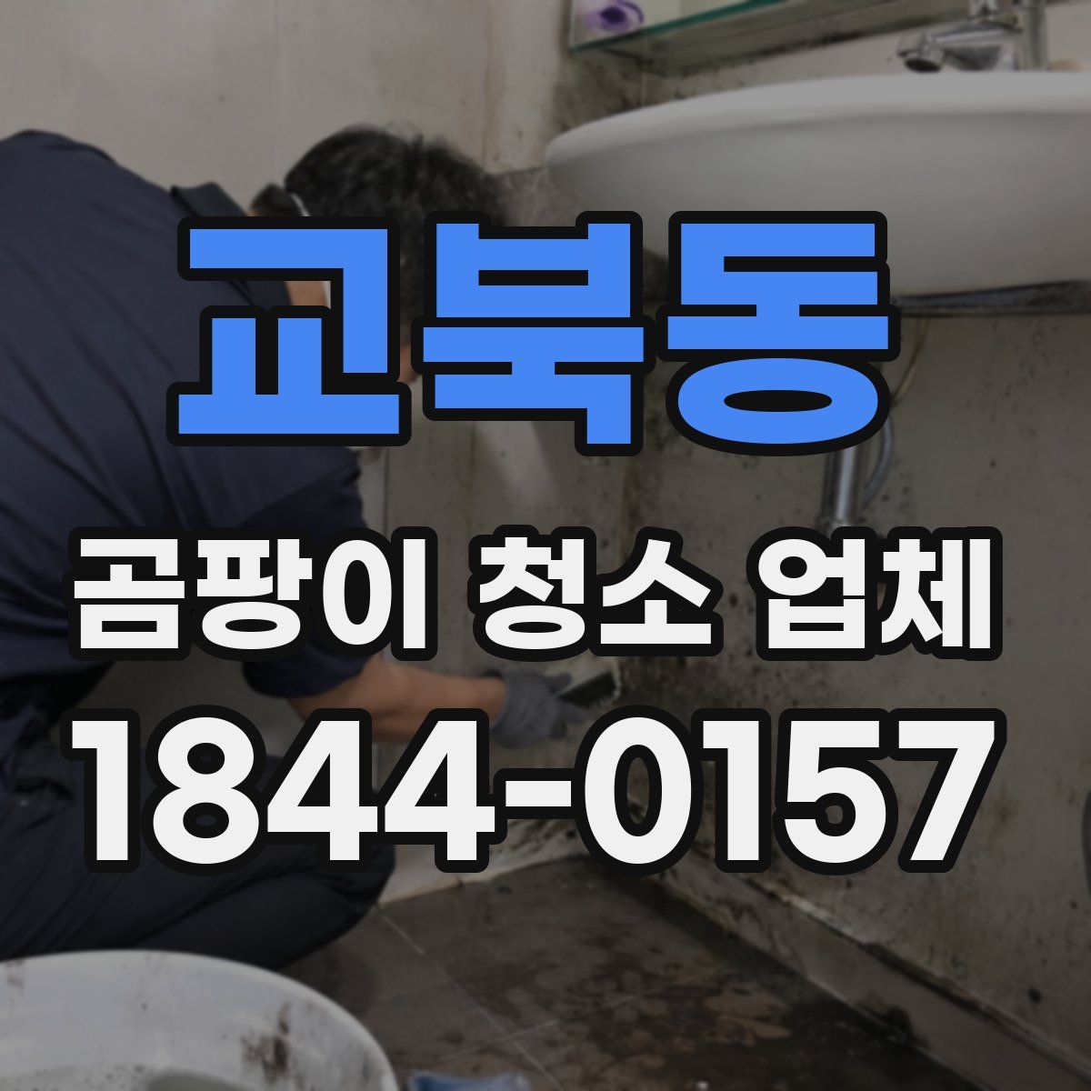 교북동 곰팡이 청소 업체