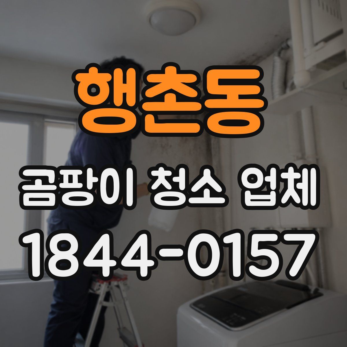 행촌동 곰팡이 청소 업체