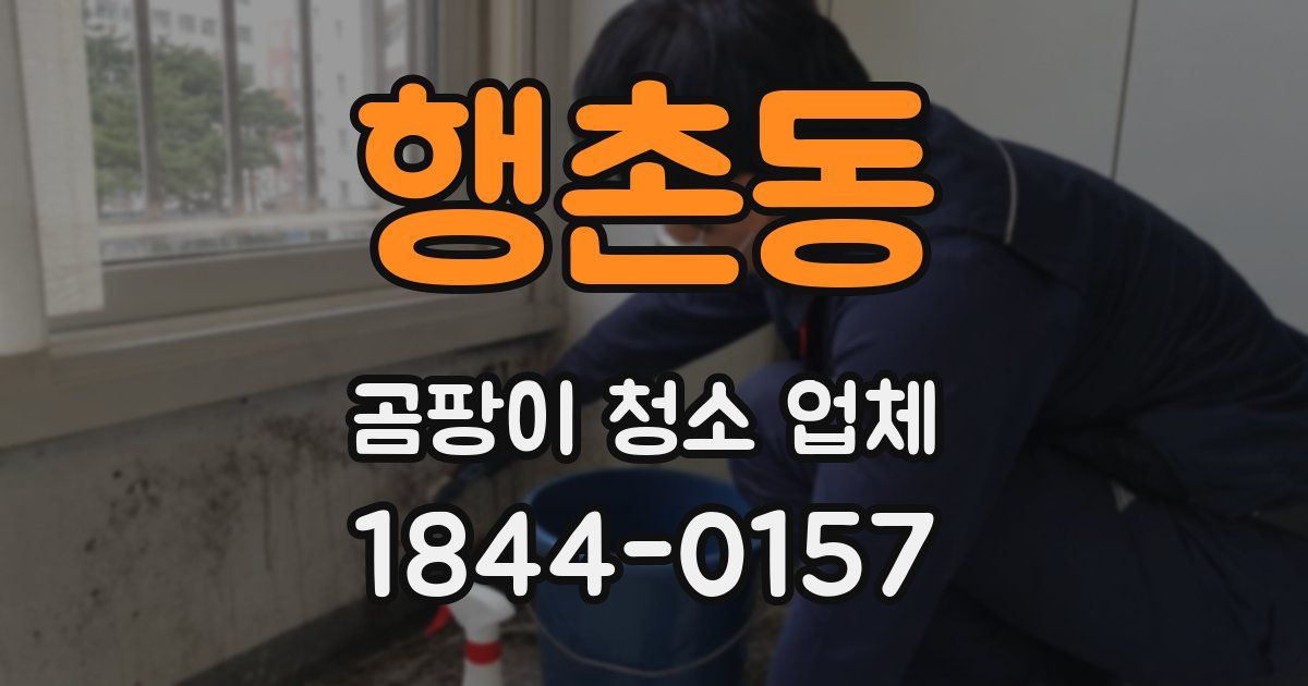 행촌동 곰팡이 청소 업체