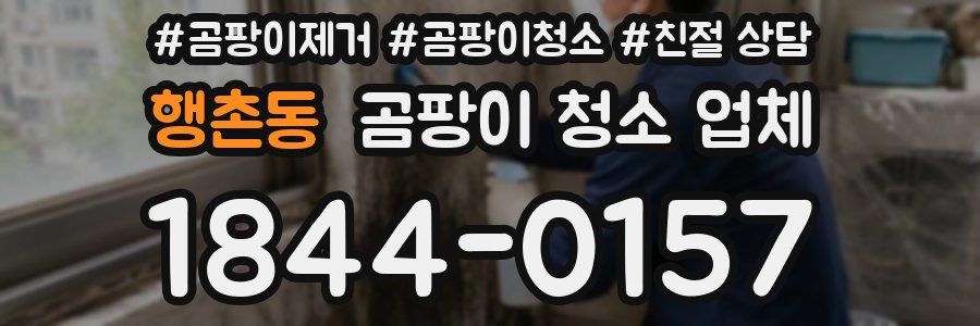 행촌동 곰팡이 청소 업체