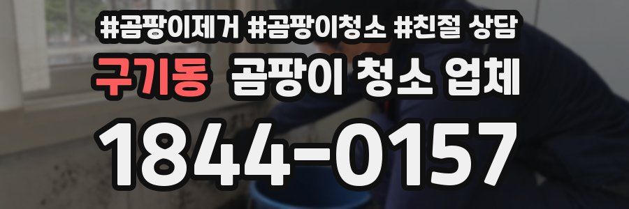 구기동 곰팡이 청소 업체