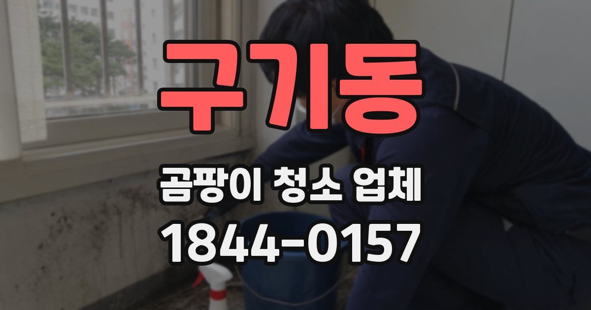구기동 곰팡이 청소 업체