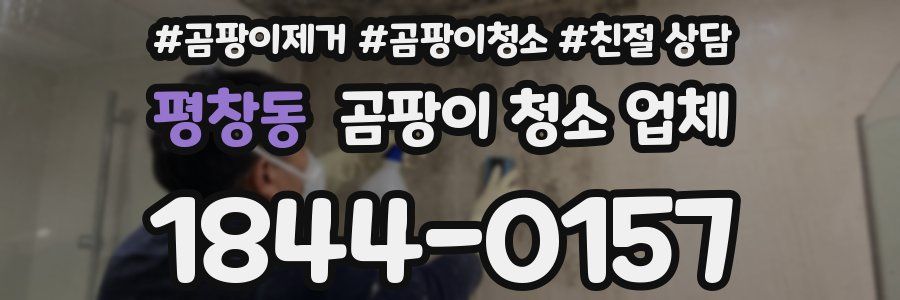 평창동 곰팡이 청소 업체