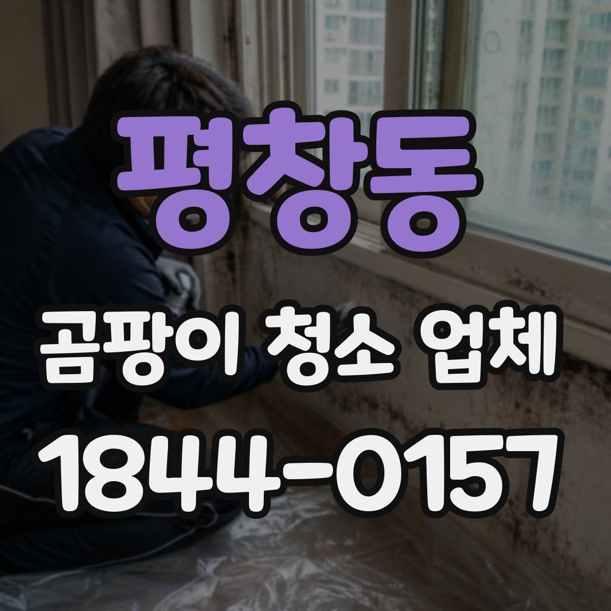 평창동 곰팡이 청소 업체
