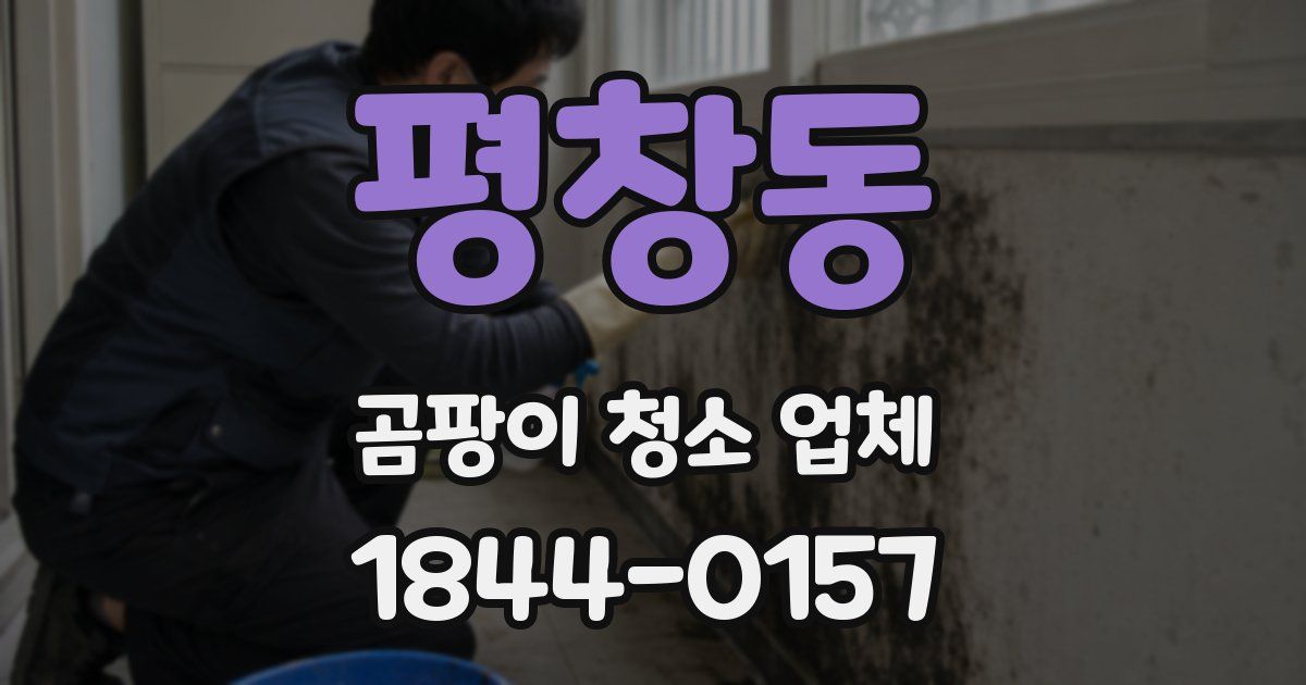 평창동 곰팡이 청소 업체
