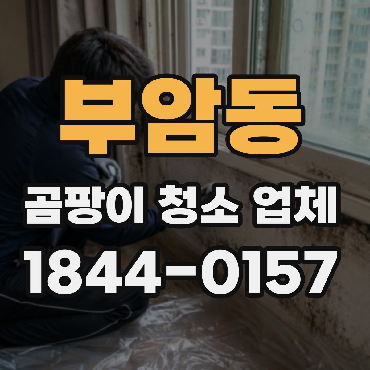 부암동 곰팡이 청소 업체