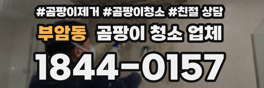 부암동 곰팡이 청소 업체