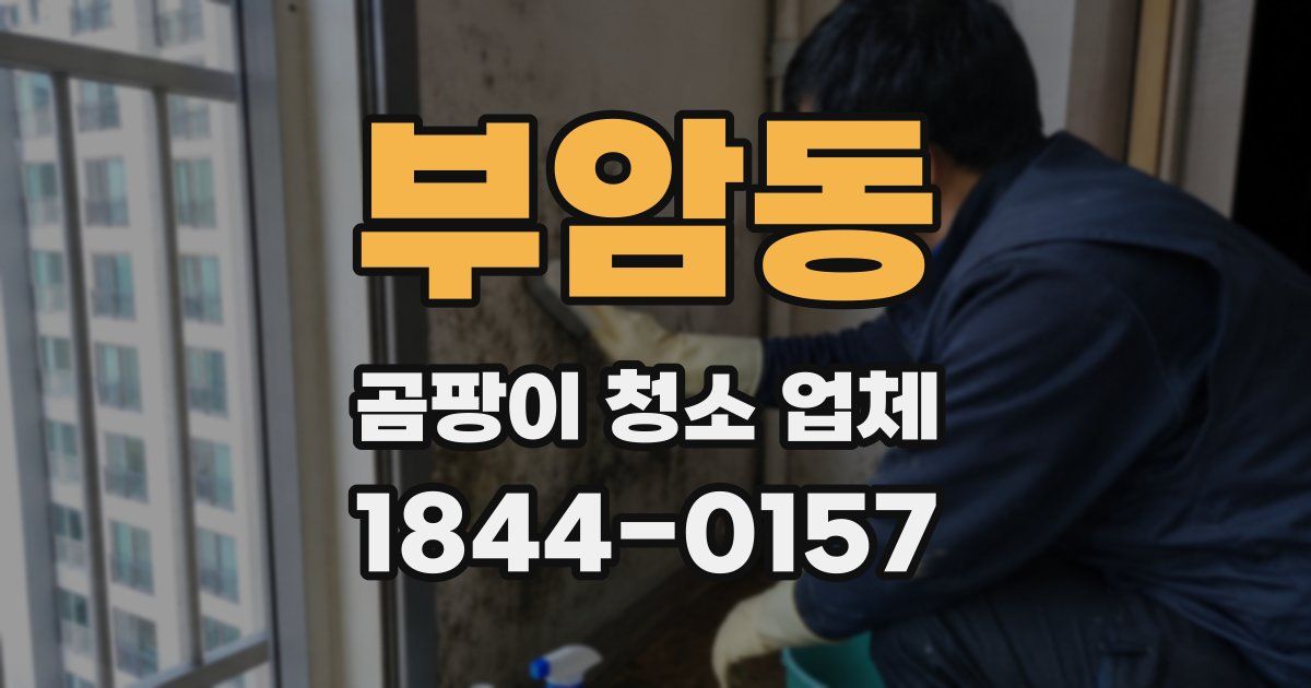 부암동 곰팡이 청소 업체