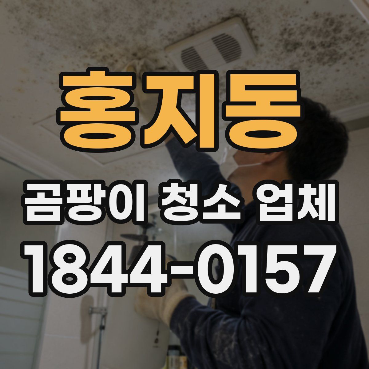 홍지동 곰팡이 청소 업체