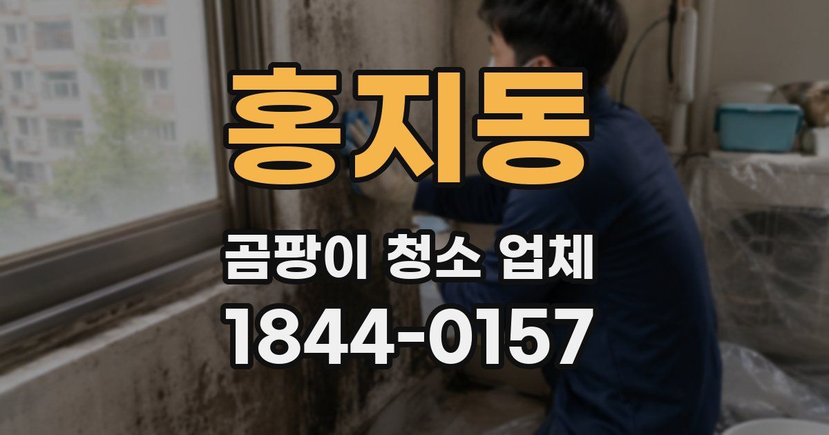홍지동 곰팡이 청소 업체