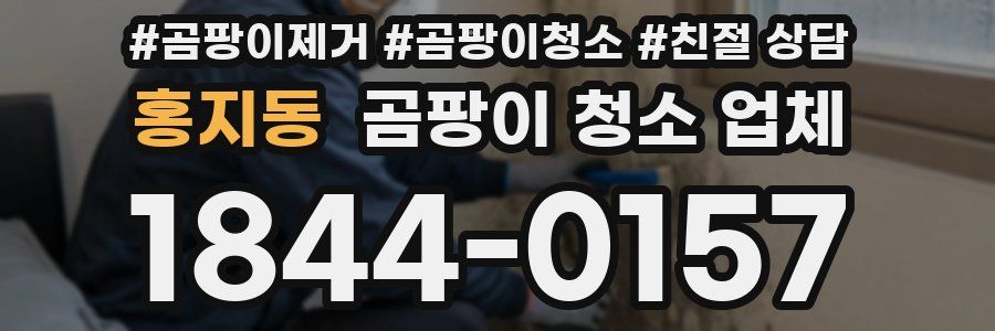 홍지동 곰팡이 청소 업체