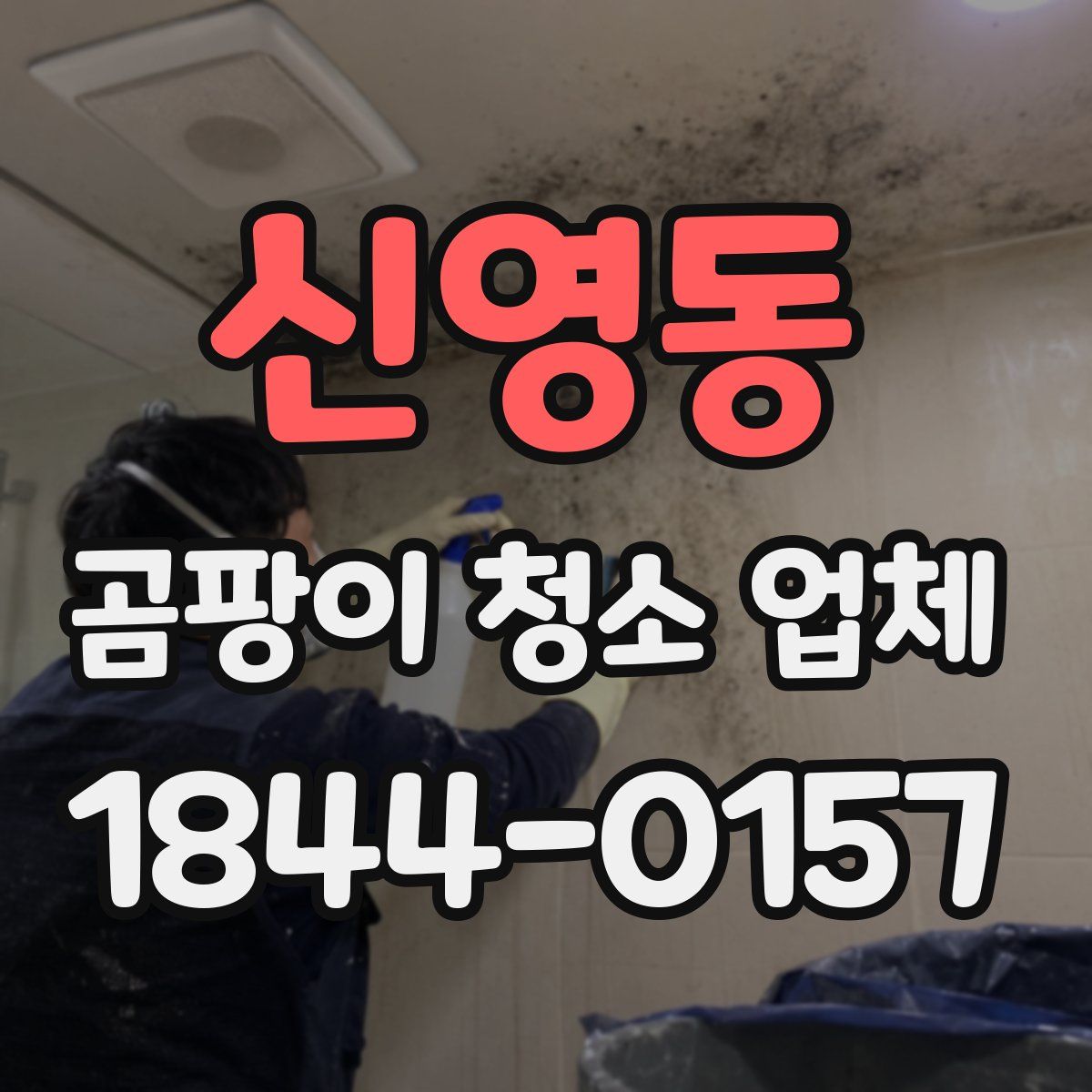 신영동 곰팡이 청소 업체