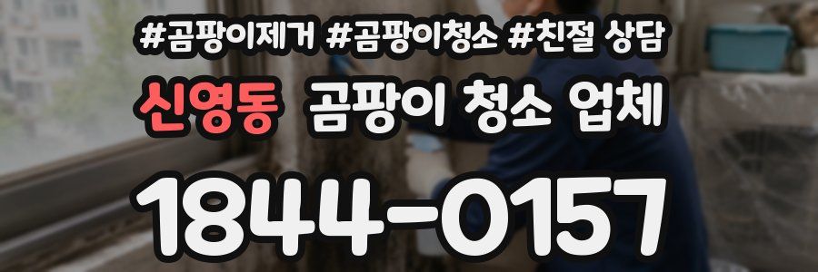 신영동 곰팡이 청소 업체
