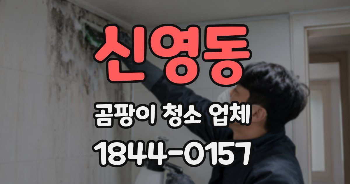 신영동 곰팡이 청소 업체