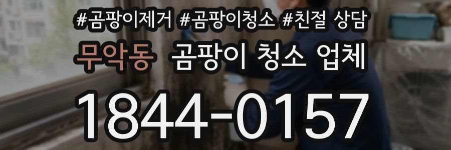 무악동 곰팡이 청소 업체