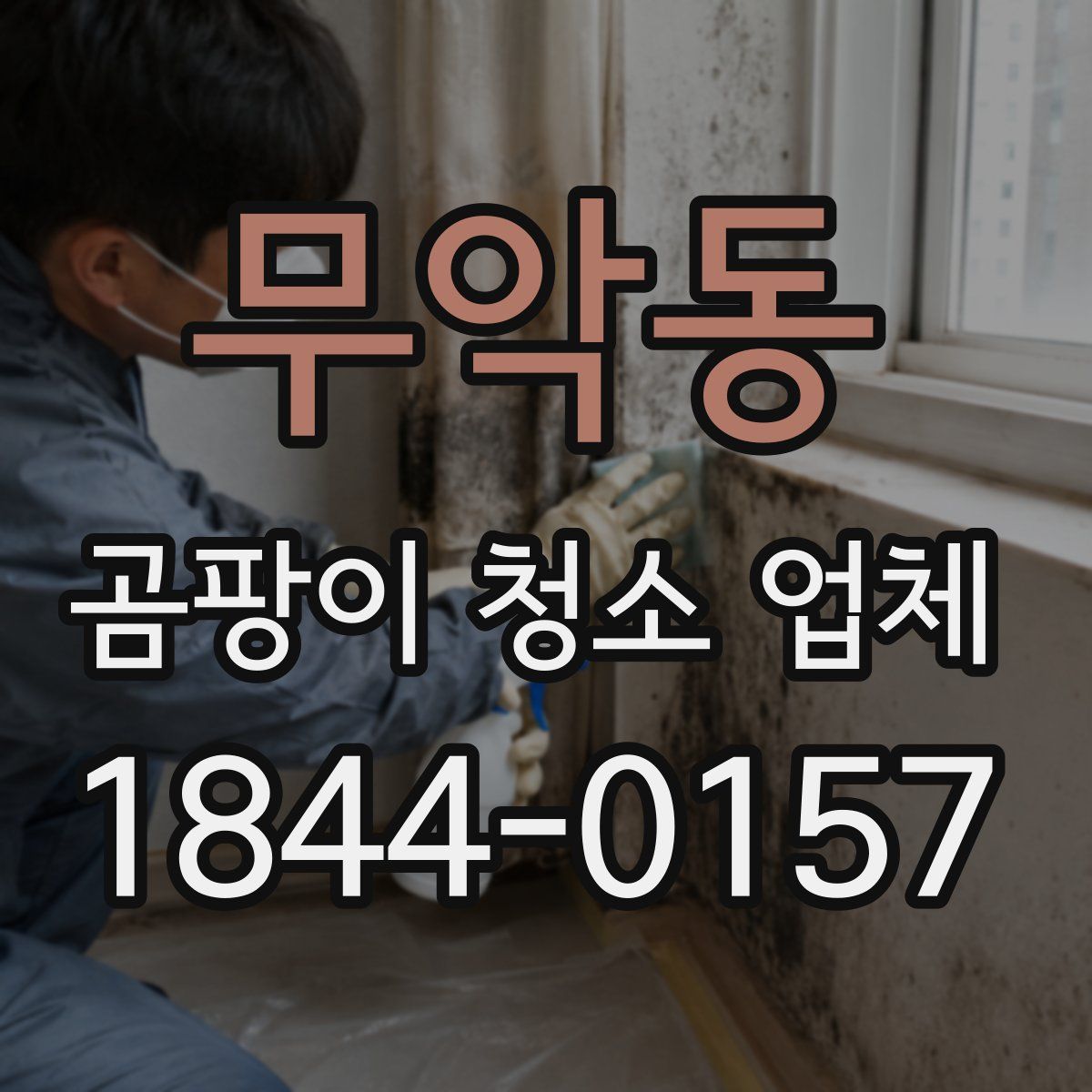 무악동 곰팡이 청소 업체