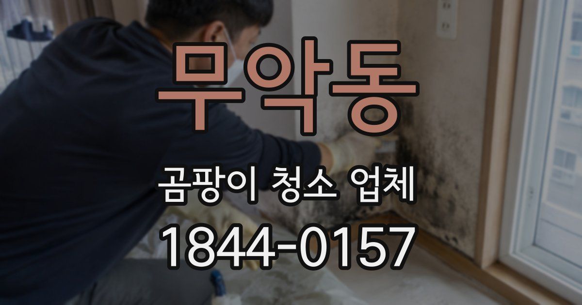 무악동 곰팡이 청소 업체