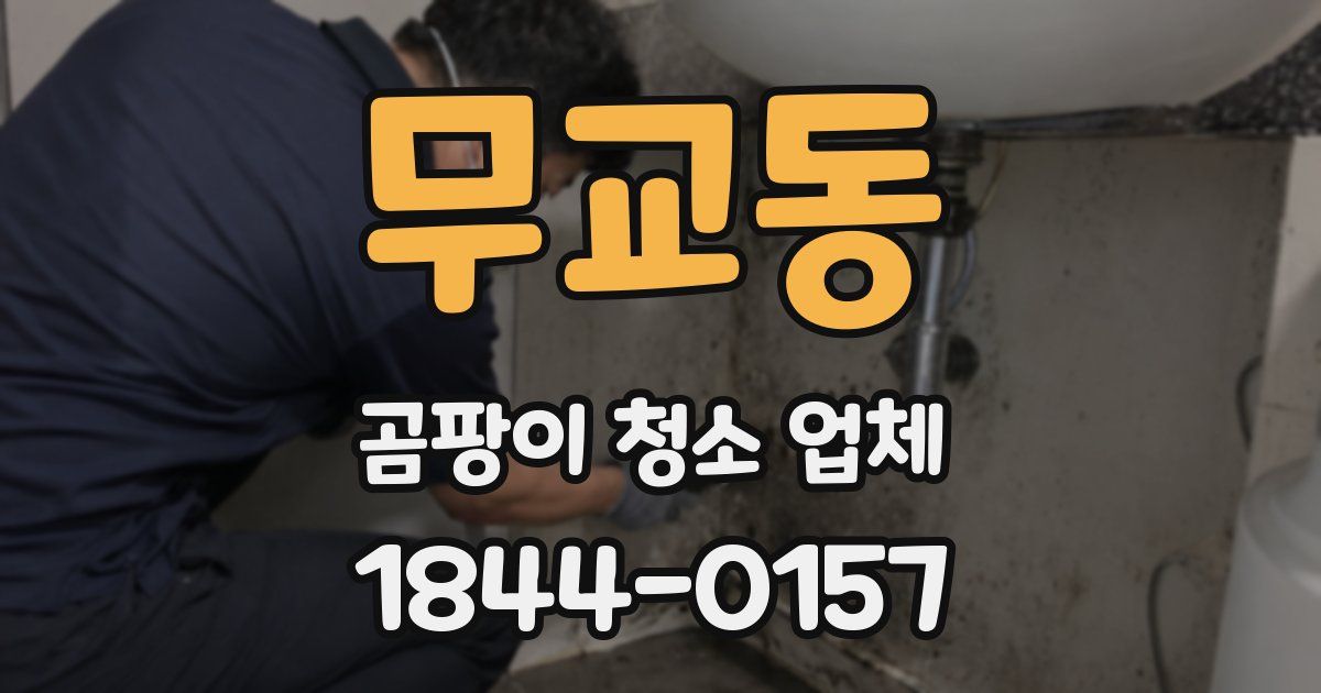 무교동 곰팡이 청소 업체
