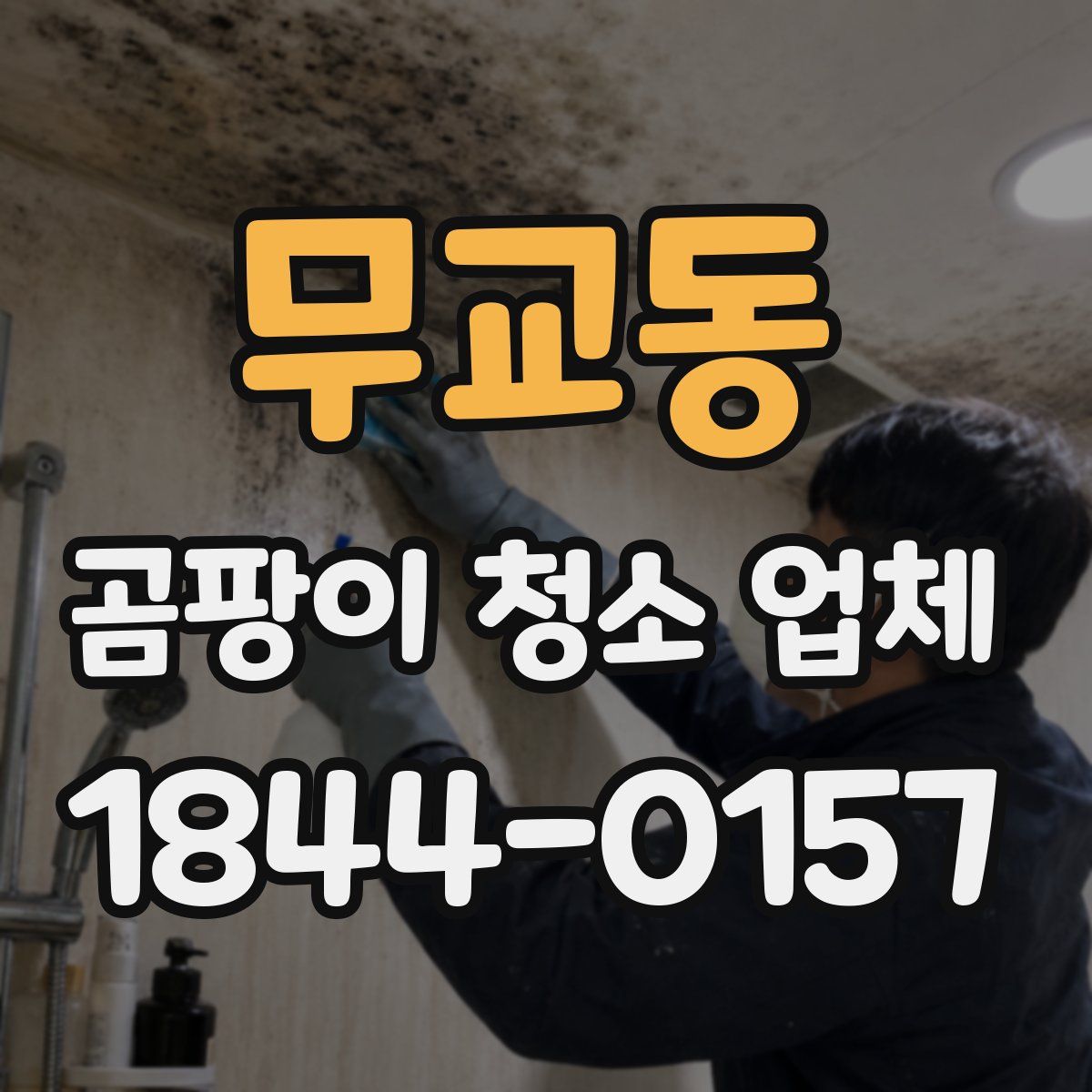 무교동 곰팡이 청소 업체