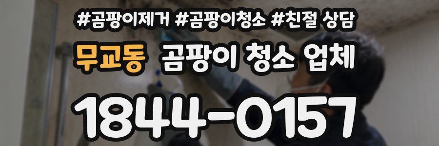 무교동 곰팡이 청소 업체