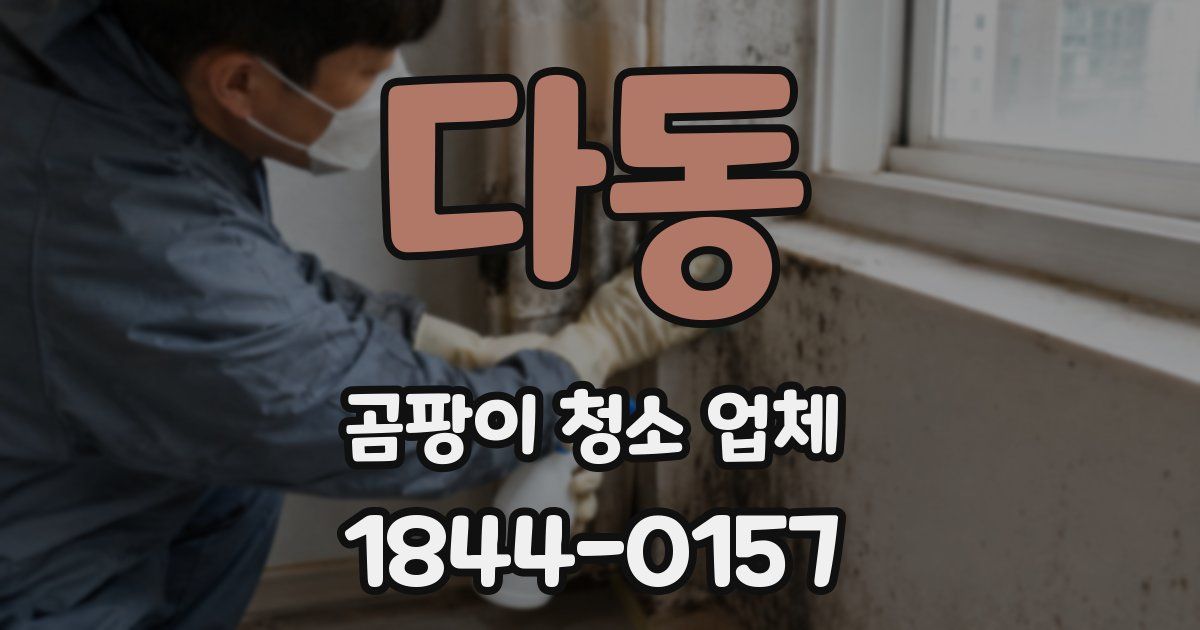 다동 곰팡이 청소 업체