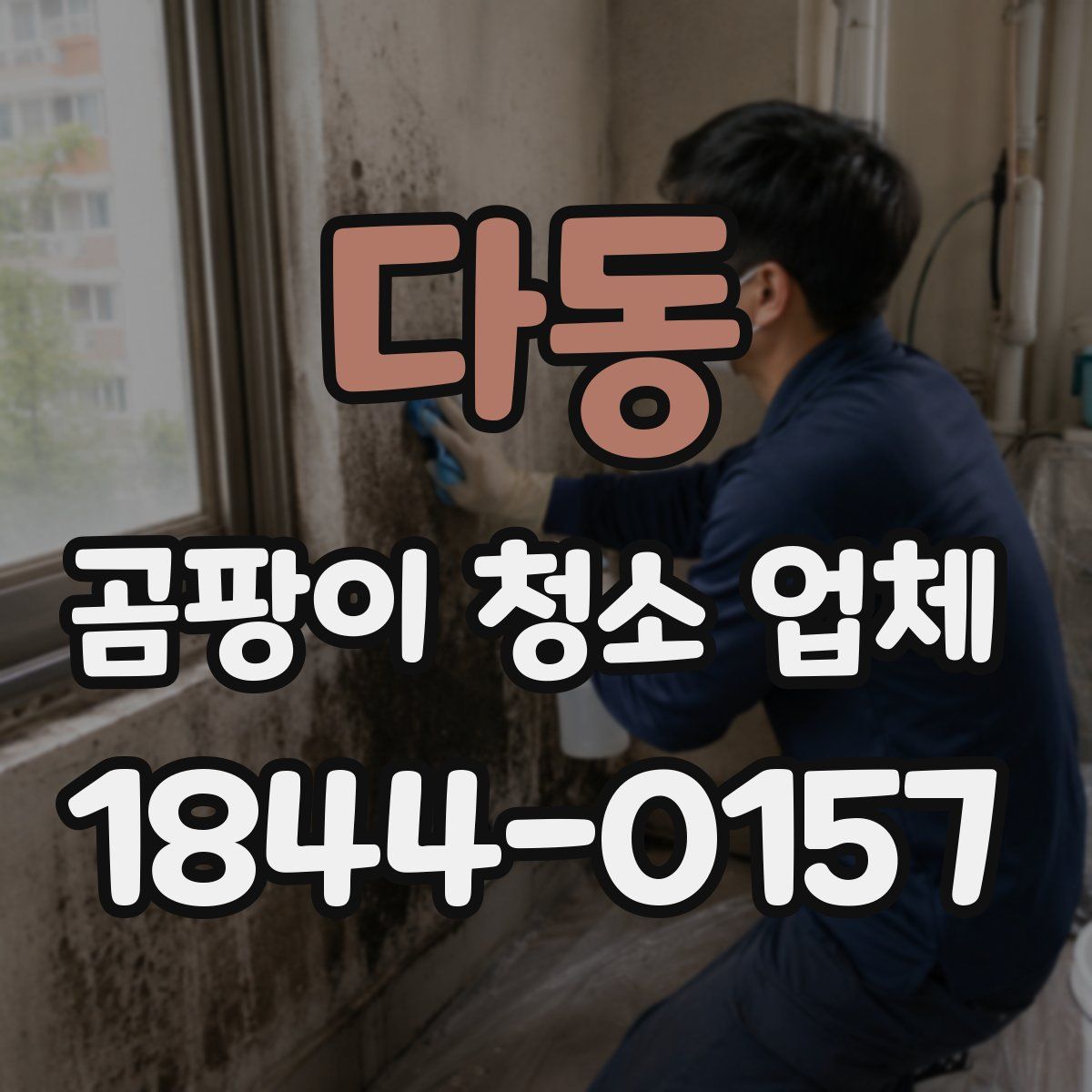 다동 곰팡이 청소 업체