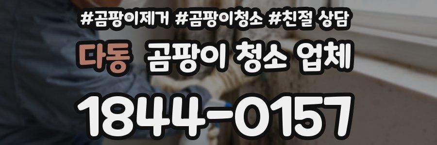 다동 곰팡이 청소 업체