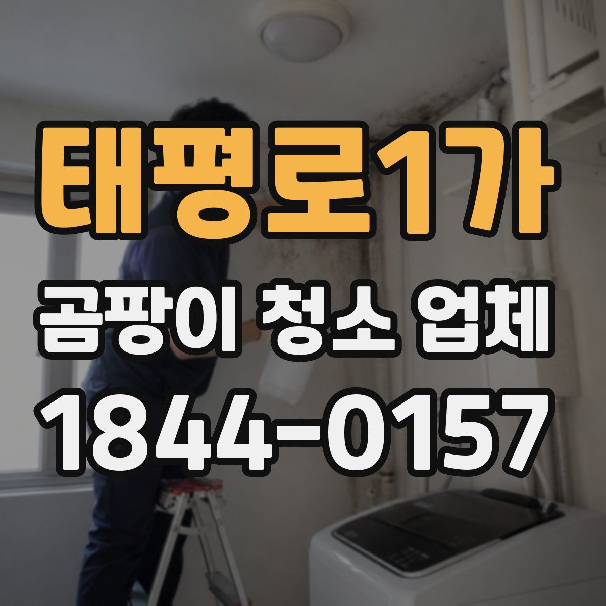 태평로1가 곰팡이 청소 업체