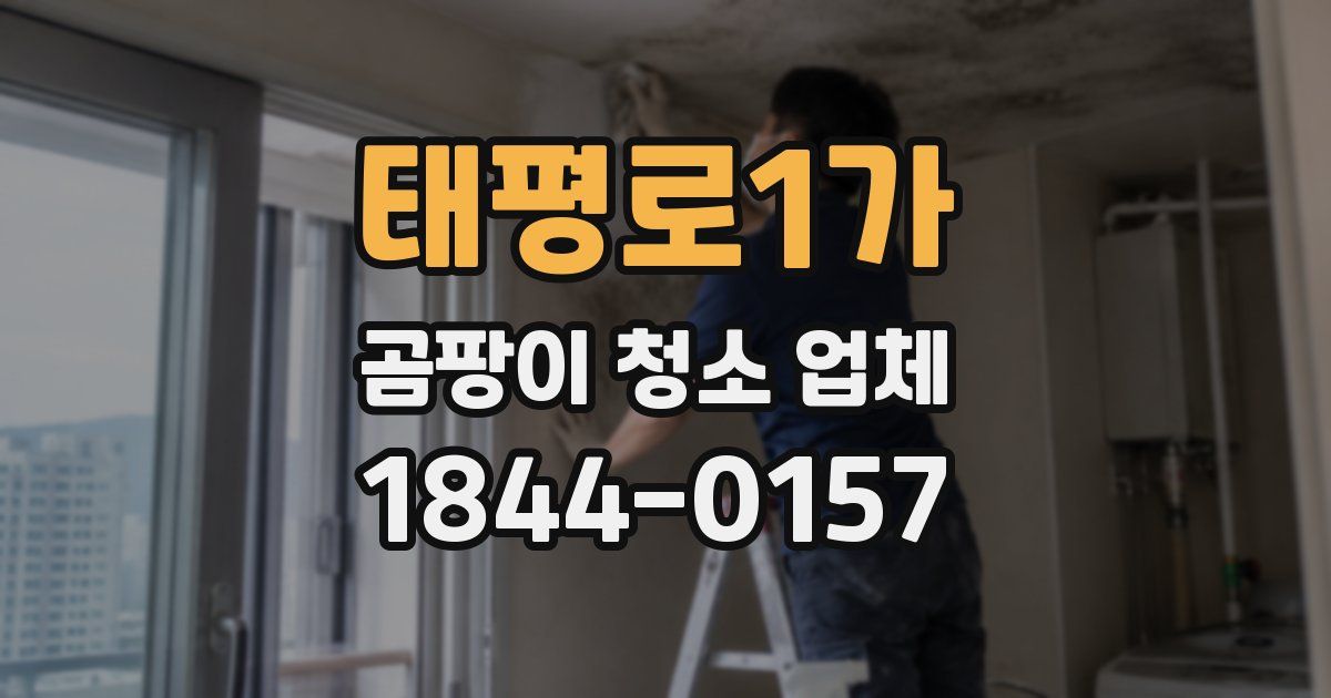 태평로1가 곰팡이 청소 업체