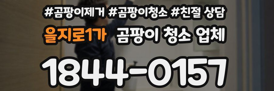 을지로1가 곰팡이 청소 업체