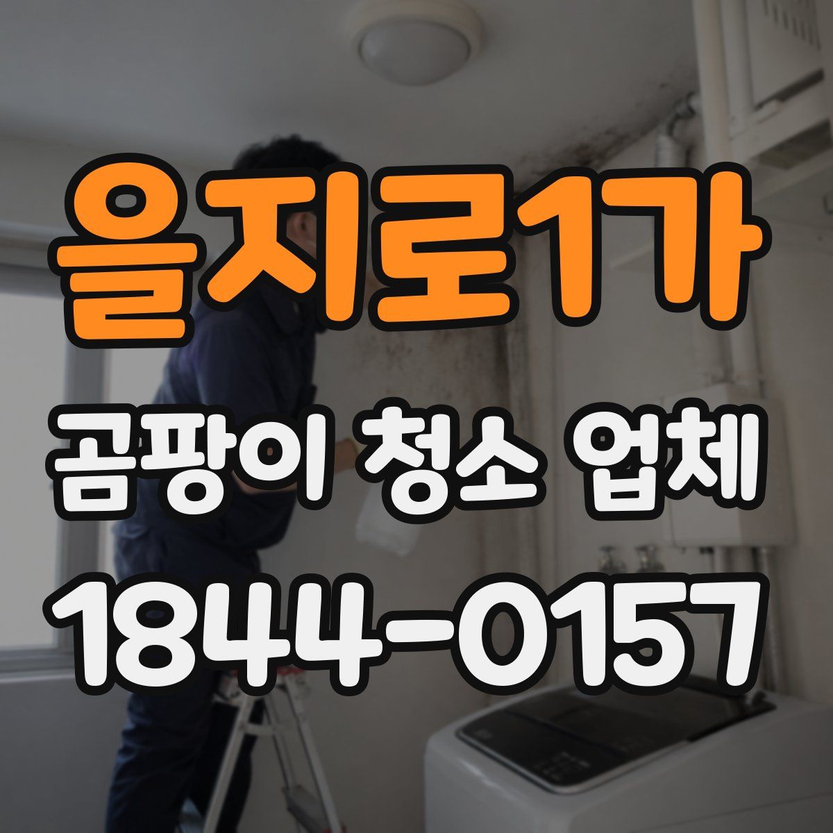 을지로1가 곰팡이 청소 업체